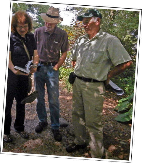 Haws - A Guide to Hawthorns of the Southeastern United States by Ron Lance