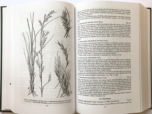 page from Aquatic and Wetland Plants of the Southeastern United States by Robert K. Godfrey and Jean W. Wooten