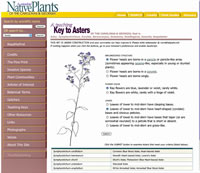 screenshot of Aster Key