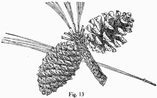 Fig. 13