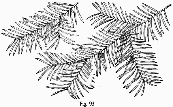 Fig. 93