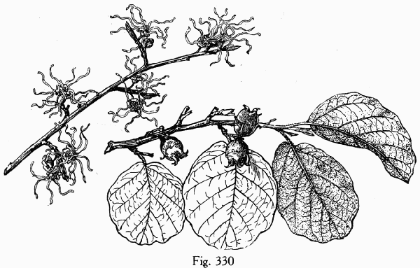 Fig. 330